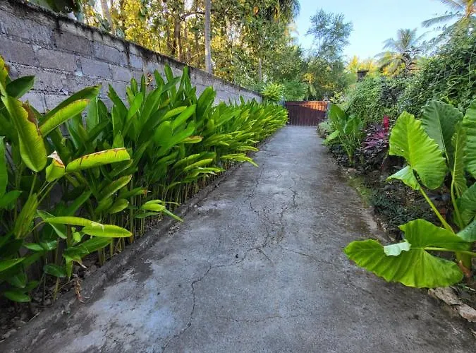 Exotic Backpackers 4*
